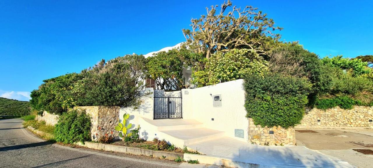 Guest House Villa Il Gabbiano Ponza Exterior photo